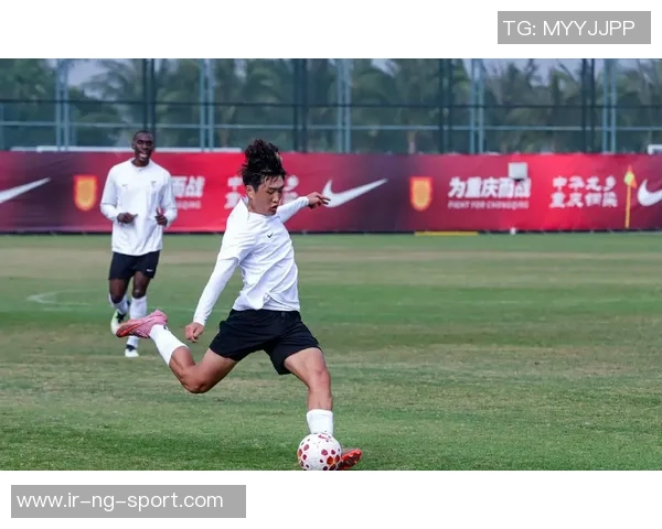 大连FC足球俱乐部：追寻荣耀与梦想的绿茵之路与未来展望